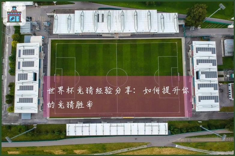 世界杯竞猜经验分享：如何提升你的竞猜胜率