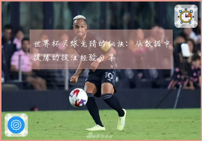 世界杯买球竞猜的秘诀：从数据中提炼的投注经验分享