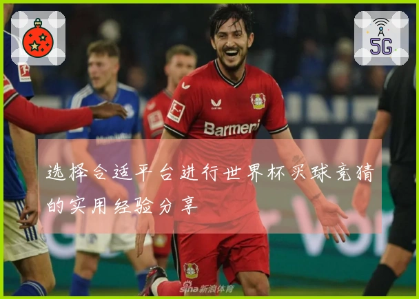 选择合适平台进行世界杯买球竞猜的实用经验分享