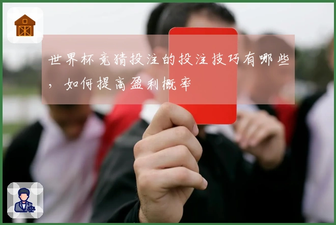 世界杯竞猜投注的投注技巧有哪些，如何提高盈利概率