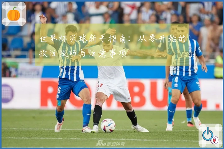 世界杯买球新手指南：从零开始的投注技巧与注意事项
